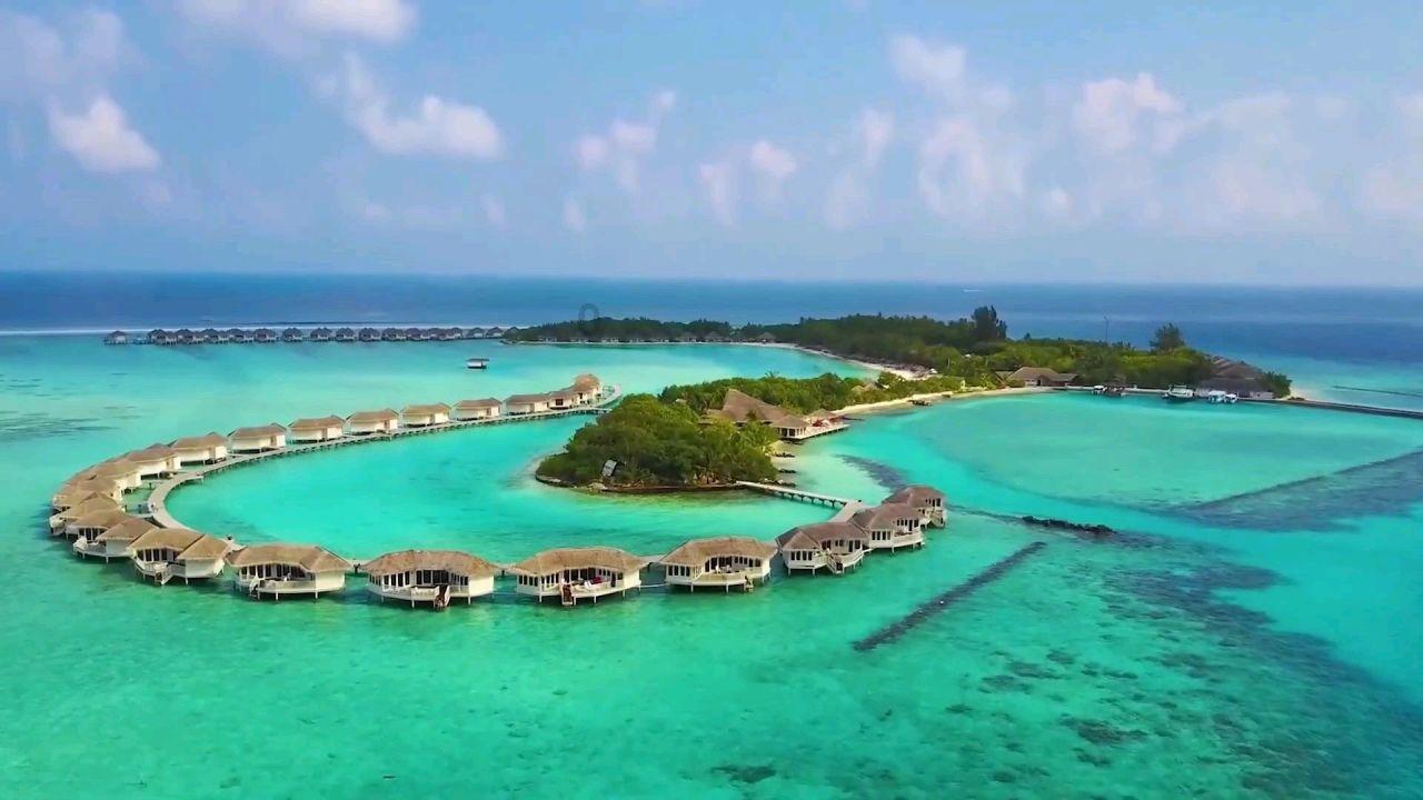 救援海盗章鱼